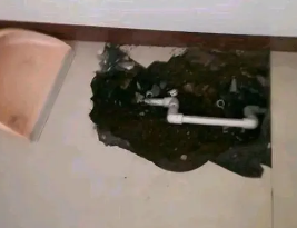 陇西卫生间测漏水多少钱